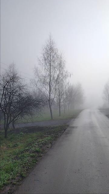 Туман. 18.04.2025.