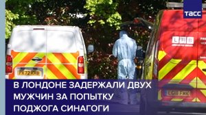 В Лондоне задержали двух мужчин за попытку поджога синагоги