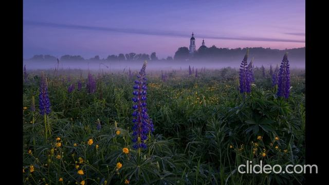 Артём Гельман - Последняя любовь