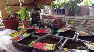 //200// Съездила в город . Покажу что купила .Я в шоке от такого продавца на Озоне.