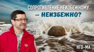 Сопротивление неизбежному — неизбежно?