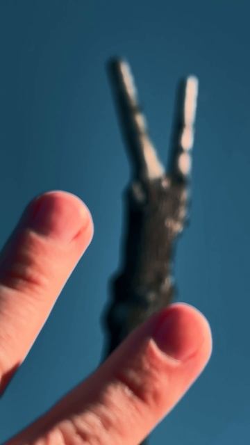 216b2dd644484622963f723d17ff1180