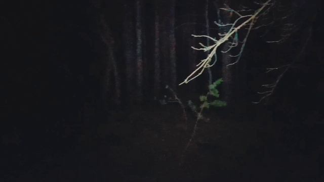 Ночной поход в лес 1 | ЛУЧШИЕ МОМЕНТЫ!