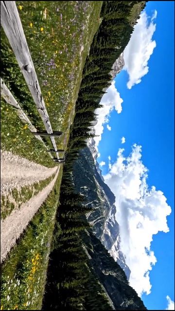 Хотели бы там погулять?