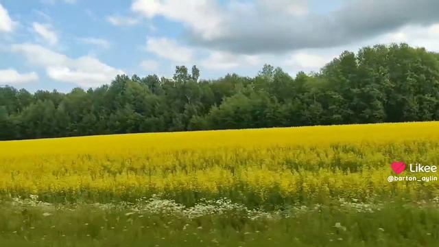 Еще больше видео есть в Likee Https://l.likee.video/p/VEvn0S