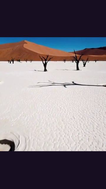 #2026 #NextChapter2026 #FutureTrends #NextGen2026 #Beyond2025