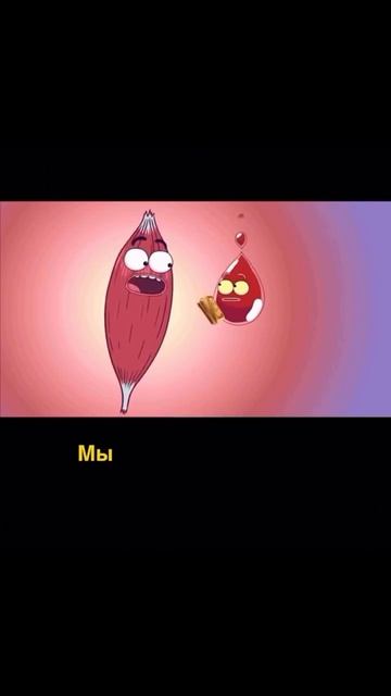 Просто и понятным языком 😀👍🏼  #зож #спорт #мотивация #пп #похудение #тренировка #фитнес #здоровье