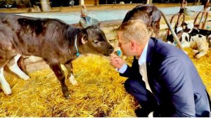 Олег Зубков приехал на ферму, а у нас уже родилось 30 телят, пока он был в Китае❤️