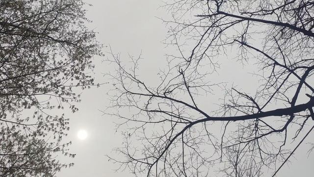 20 апреля магический пасмурный но ☀️ прогноз погоды от волшебника....