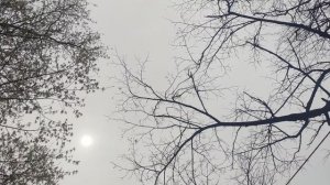 20 апреля магический пасмурный но ☀️ прогноз погоды от волшебника....