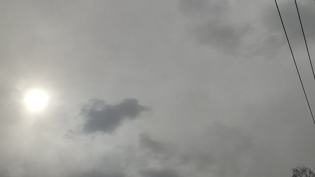 Купавна и ☀️ от волшебника