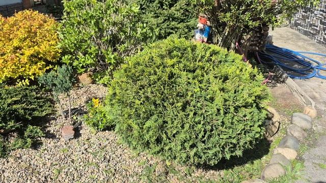 СТРИЖКА ТОЛЬКО НАЧАТА 🤣🥰🥰🥰НАДО НАЙТИ ПАРУ