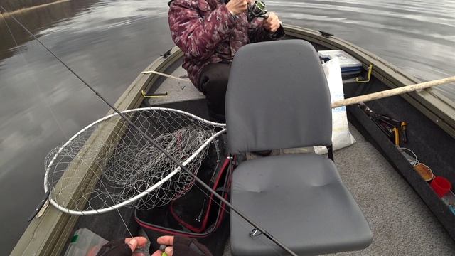 Тесть меня обловил.