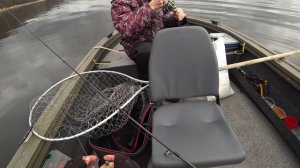 Тесть меня обловил.