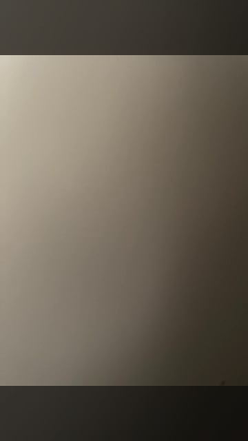 Бесплатные брейн роты