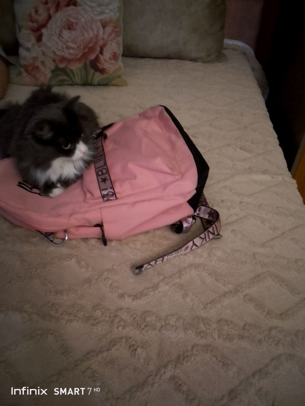 🪽сделала анимацию 🪽