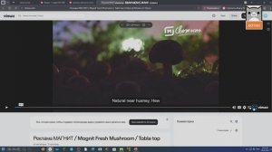 канал котик 3 часть!