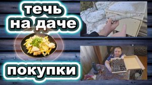 🇰🇿 КАЗАХСТАН 36-26! МЯСО ПО-КРЕМЛЁВСКИ/АВАРИЯ НА ДАЧЕ/БЬЮТИ ЛАЙФХАК/ТАНЯ ОГНЕННАЯ😱/ПОКУПКИ 🥳🎊🎁