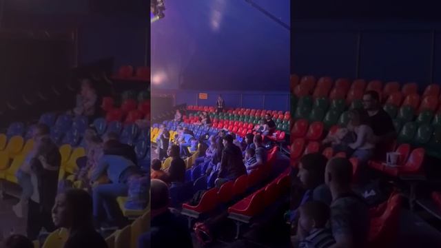 Инцидент с участием хищного животного в РОСТОВЕ