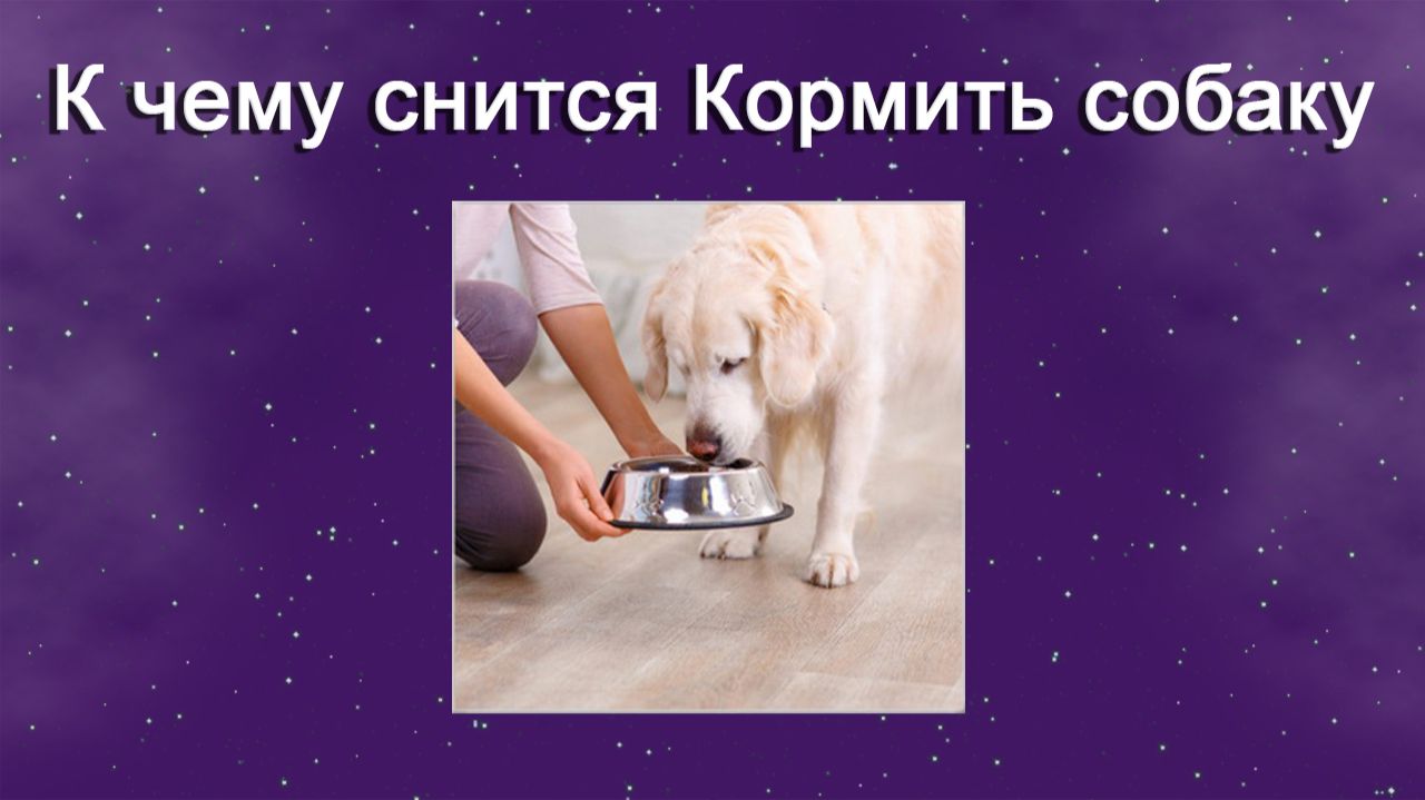 К чему снится Кормить собаку - толкование сна