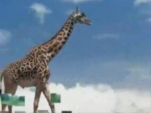 Владимир Высоцкий- Жираф Большой