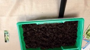 Про капусту