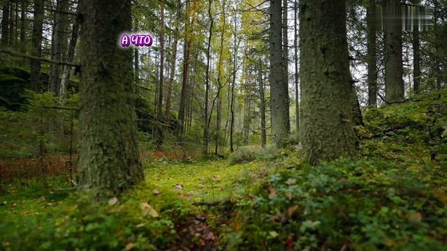 Мудреца спросили...