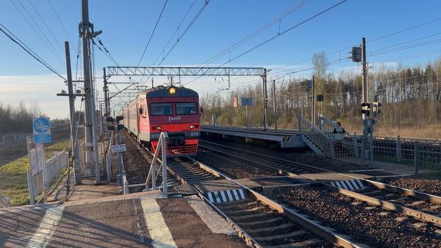 Сапсан на Питер