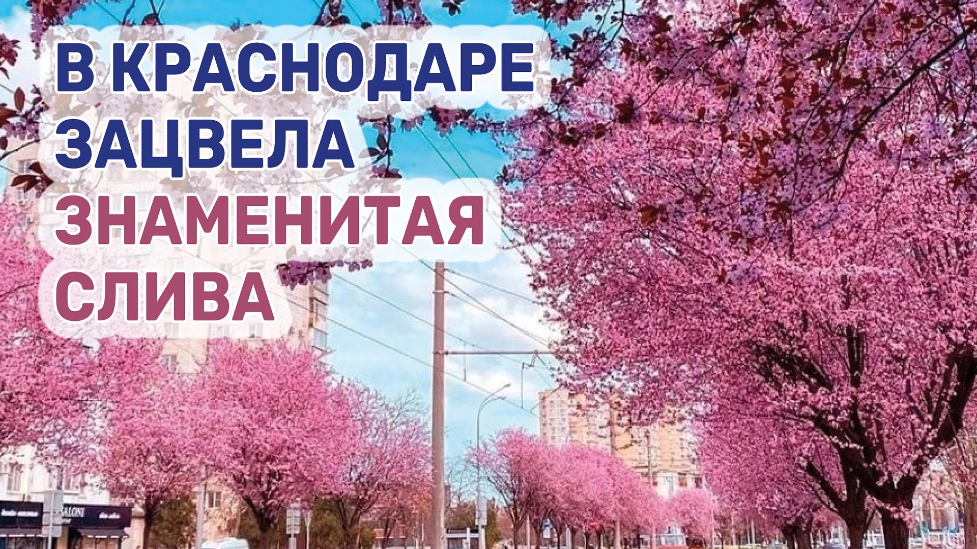 Чтобы ее увидеть, придется прокатиться на трамвае