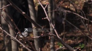 Златоустовцы провели субботник на берегу речки Есаулка