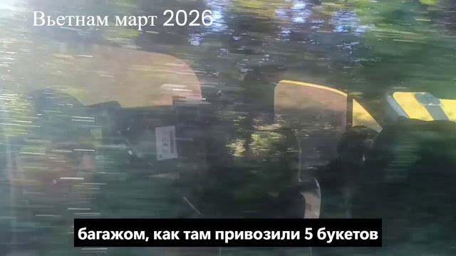 Далат: Город Цветов, Кофейные Плантации и Вьетнамский Миллиардер 🌸☕️💰