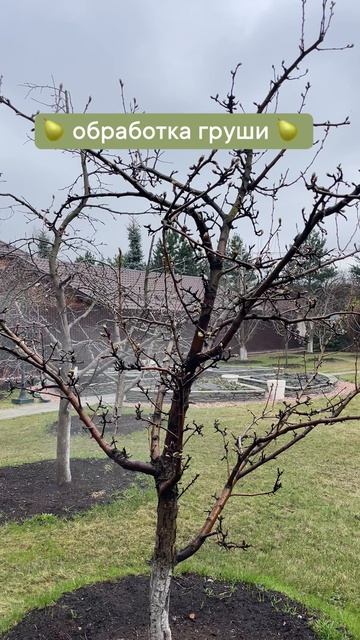 Clip by lenkaslopatoy