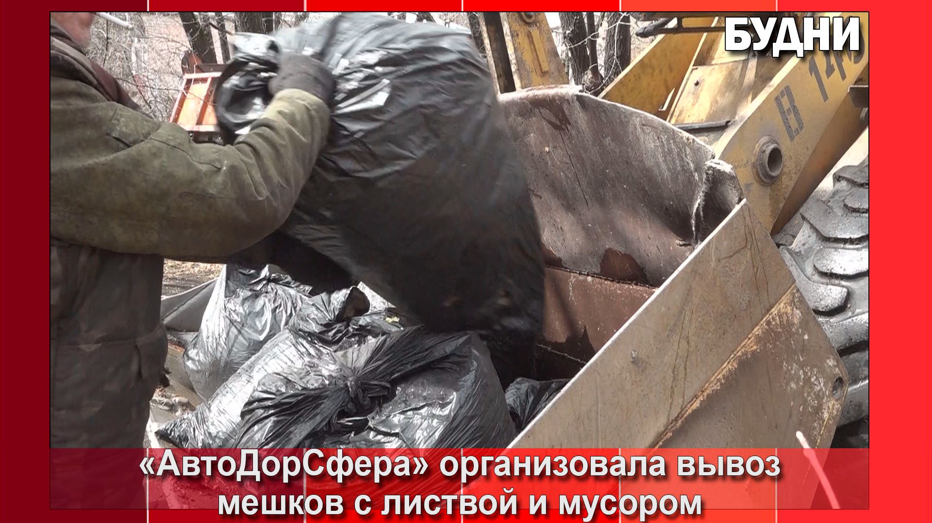 После субботника со скверов уже вывезли более 10 КамАЗов листвы