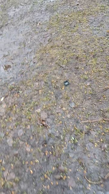 Как, наверное, ЗДОРОВО МЕДЛЕННО ЖИТЬ...