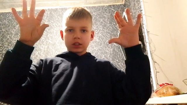 кратко о ВПР