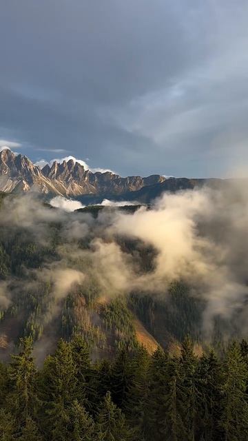 🩷 Секрет успеха — это начать.❤️🩹