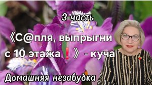 3 часть. 《С@пля, выпрыгни с 10 этажа❗️》- куча