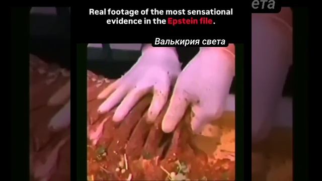 Кадры из файлов Эпштейна.