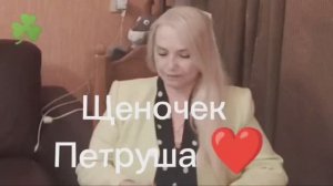 Щенок Петруша 3 Моя Новая сказочка 😊