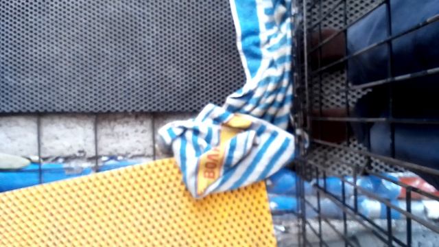 выпуститееееееееееееееееееееееееееееееееееееееееееееееееееееееееееееееееееееееееееееееееееееееееееее