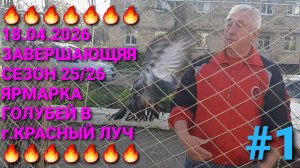 🔥🔥🔥 18.04.26 Завершающая в сезоне 25-26 годов ярмарка голубей в г.Красный Луч. Птичий рынок.
