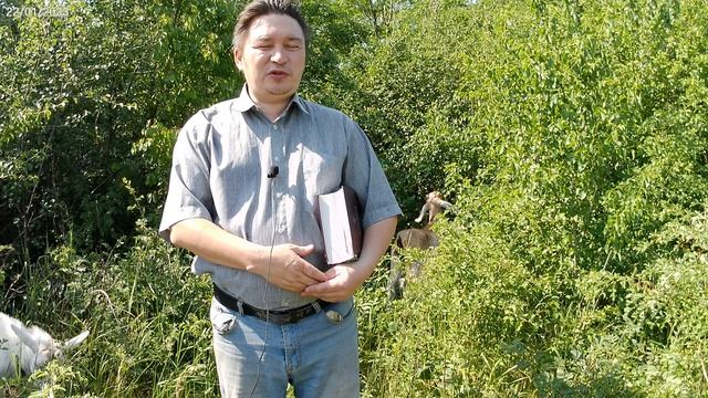 Церковь как жена Христа