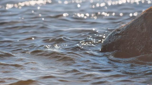 Инвестиции в уют - самые выигрышные