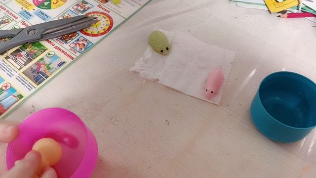 Опыты с лапками