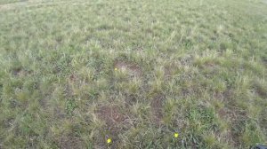 Коп на геолого разведке