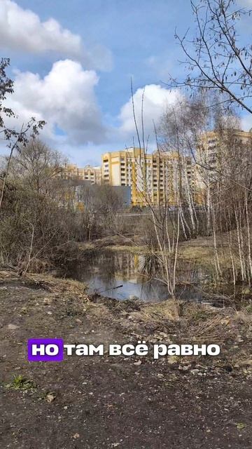 Посмотрим парк 