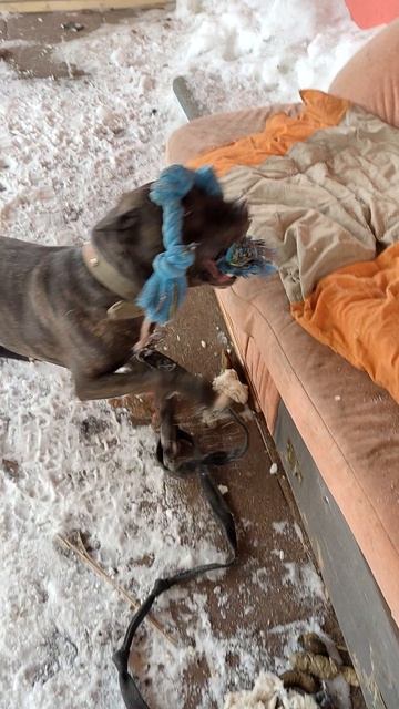 Якобс с любимым канатом )) 