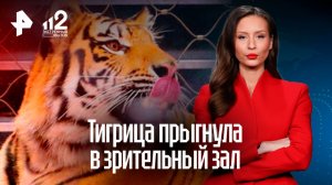 Прыжок тигрицы: зверь оказался в зрительном зале ростовского цирка