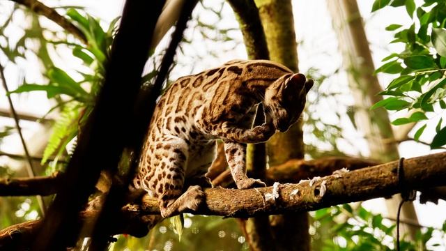 Релаксация, медитация, улучшение сна, снятие стресса, фон для работы и учебы, йога. ॐ🙏🧘♀️