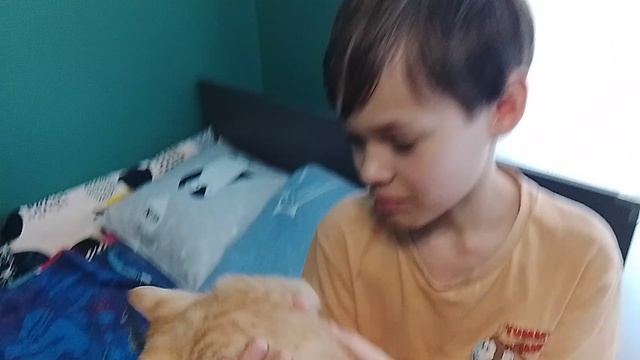 нерф райвал рыжик